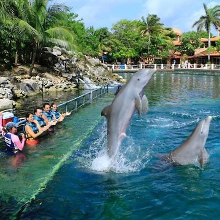 Increible Estudio En Puerto Aventuras, Condominio Con Alberca Bagian luar foto