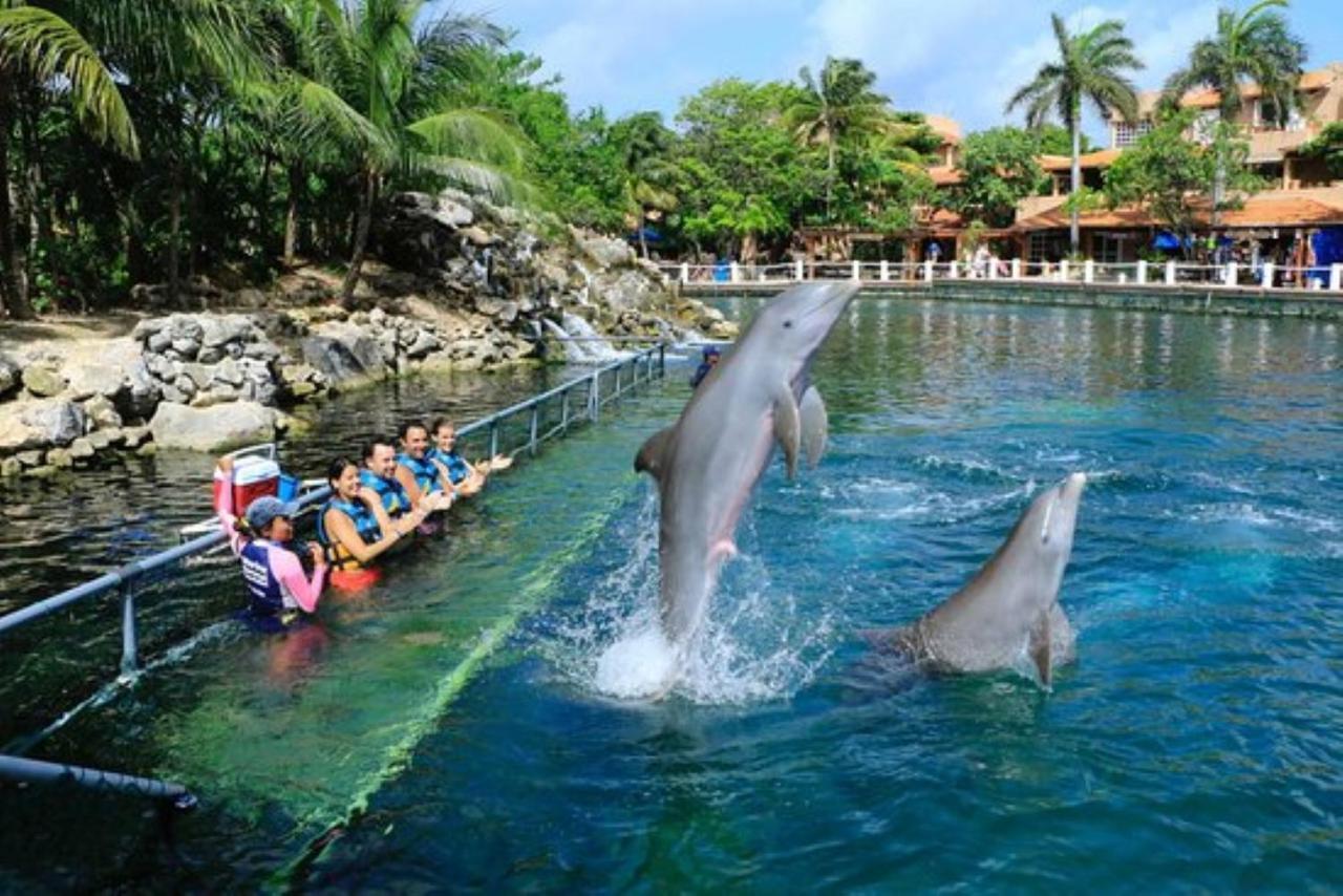 Increible Estudio En Puerto Aventuras, Condominio Con Alberca Bagian luar foto